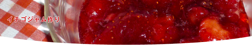 いちご狩り料金表