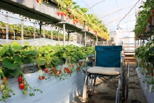 車椅子も楽に通れます