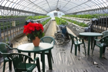 車椅子の方も一緒に休憩できます