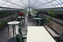 長テーブルとベンチもご用意