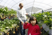 苺のように真っ赤な服がかわいいですね