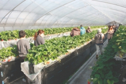 午前中の混み具合はこれ位でした