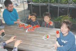 大きな苺をたくさん集めましたね