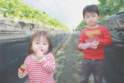 また食べに来てくださいね