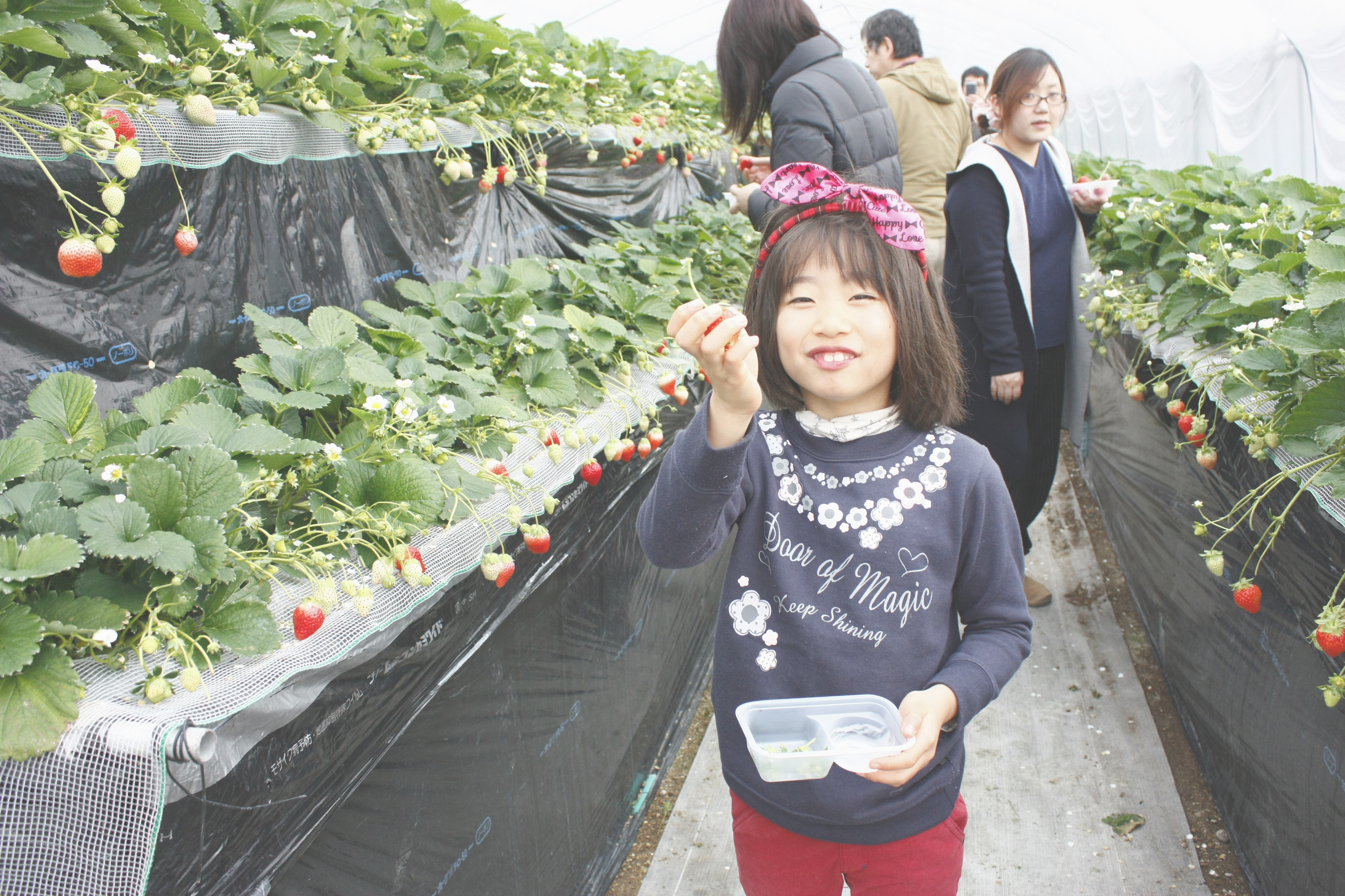 また食べに来てくださいね