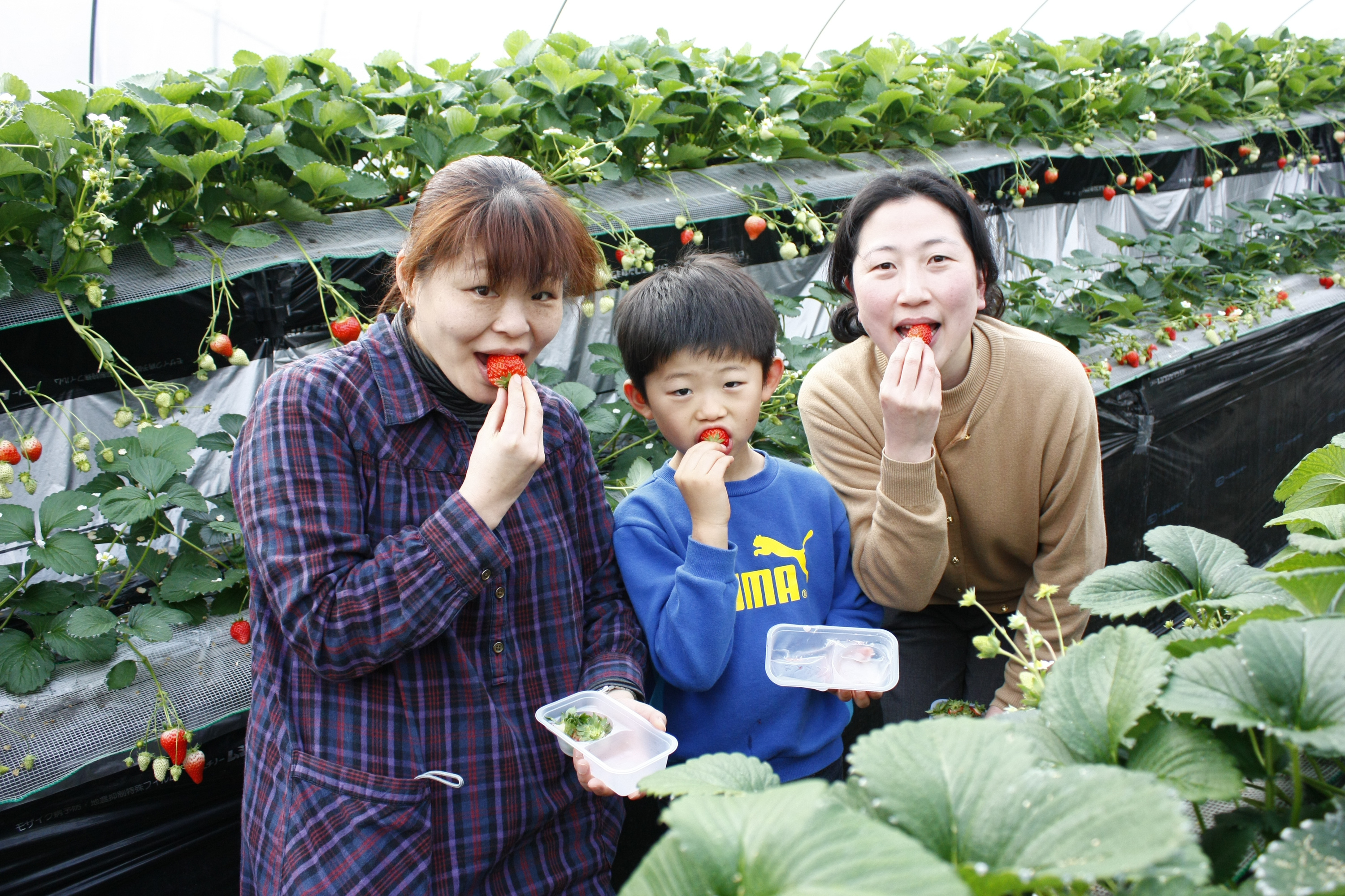 仲良し家族でイェーイ