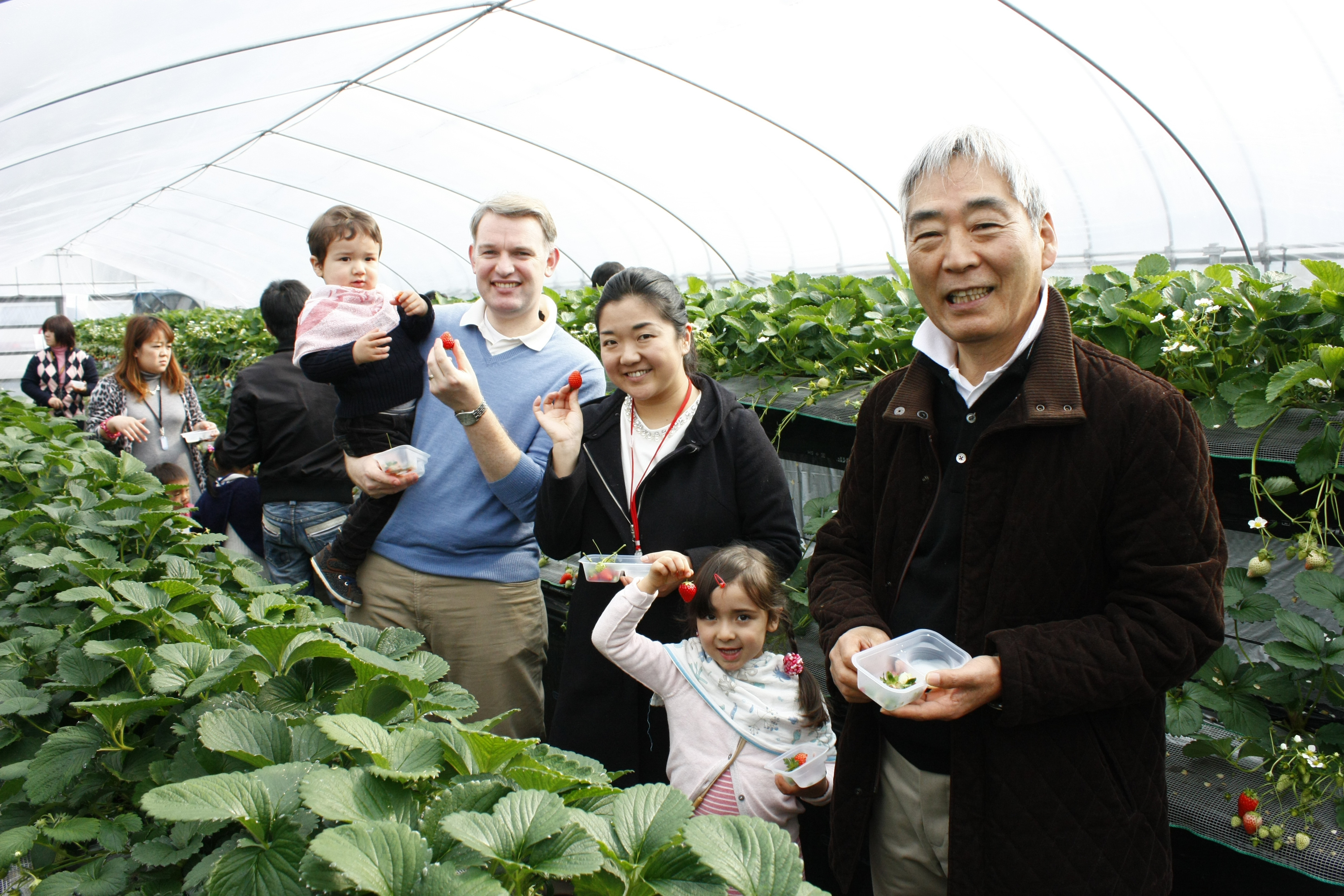 パパがヘタを取ってくれました