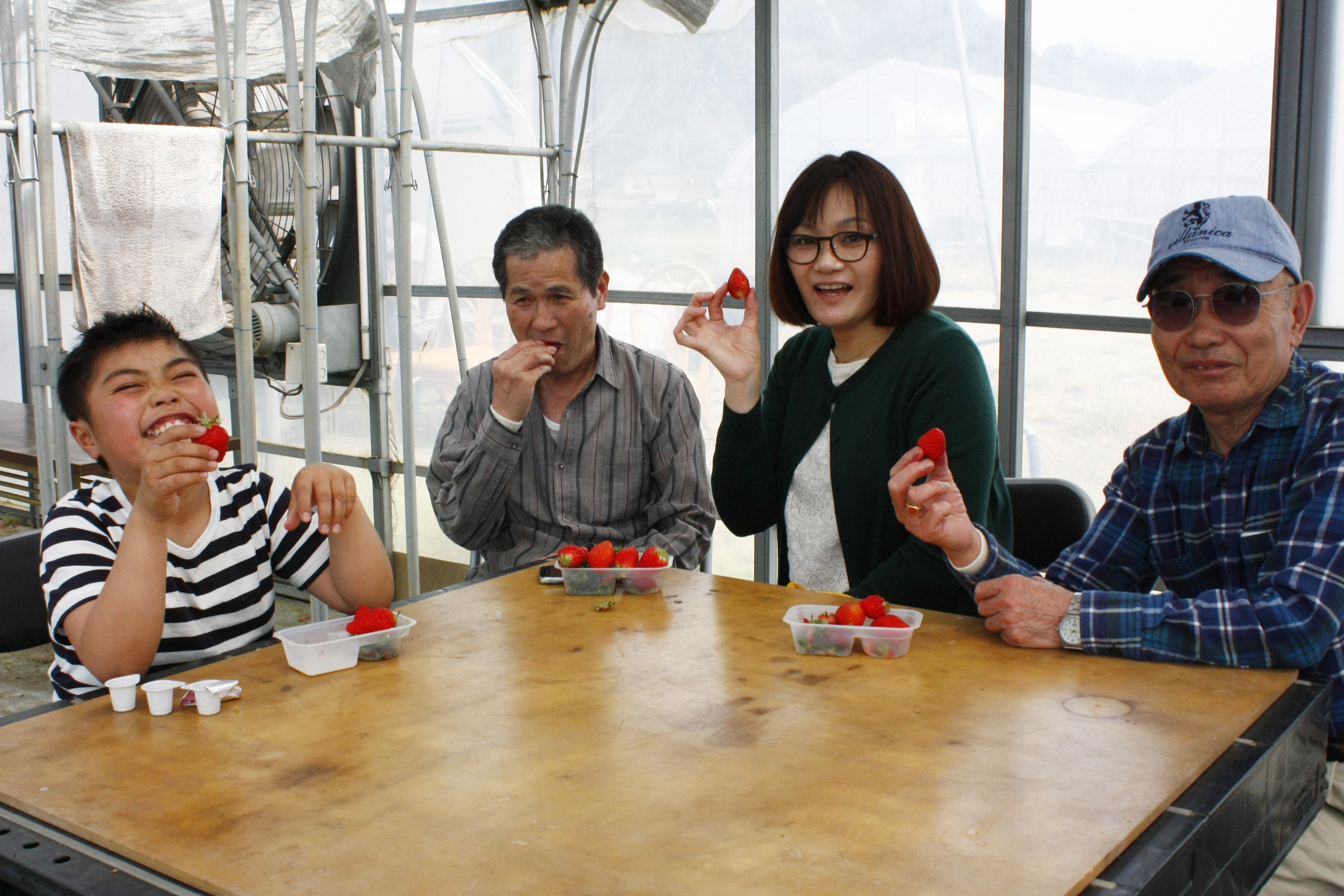 べにほっぺがたくさん出来ています