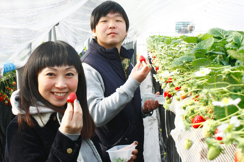 おいしい黒苺ゲットですね