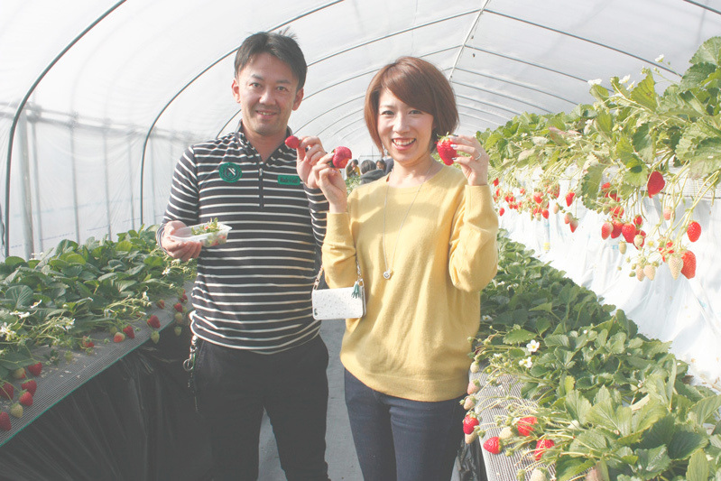 おいしい苺をSNSにアップよろしく