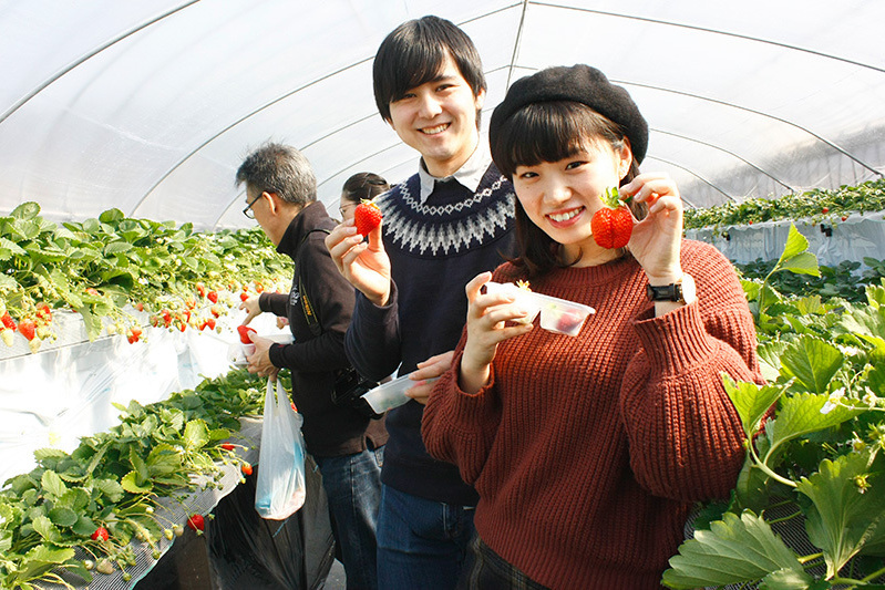 苺狩りは幸せな気持ちになれますね