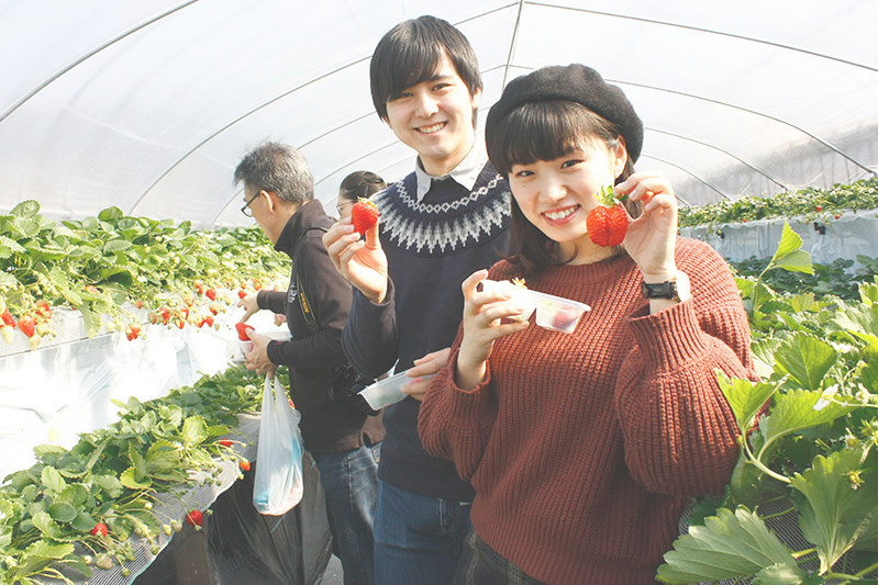 苺狩りは幸せな気持ちになれますね