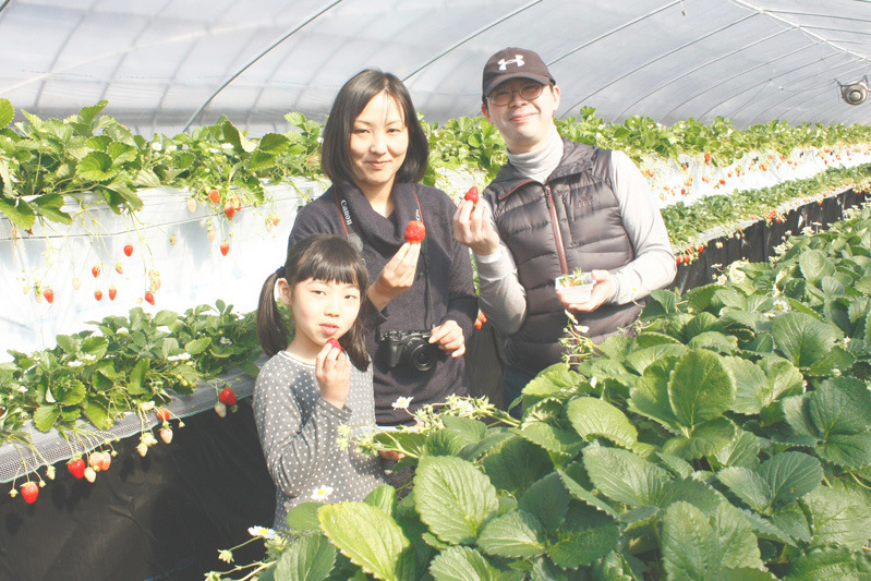 全部の品種を食べられましたか？