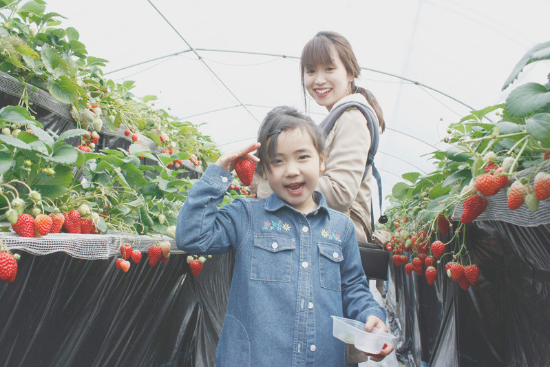 人気の黒苺は早めに無くなるよ