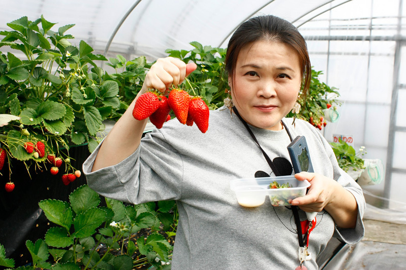 おいしい苺をSNSにアップよろしく