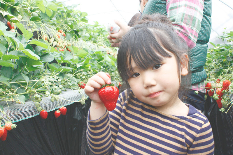 全部の品種を食べられましたか？