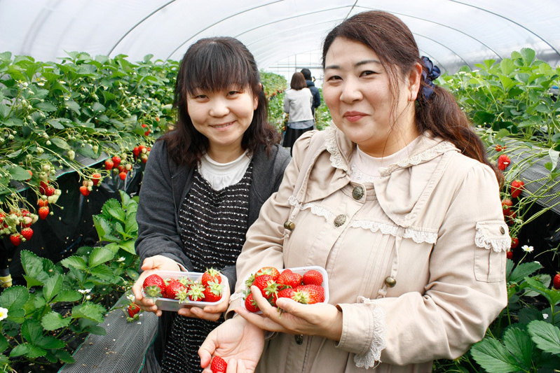 全部の品種を食べられましたか？