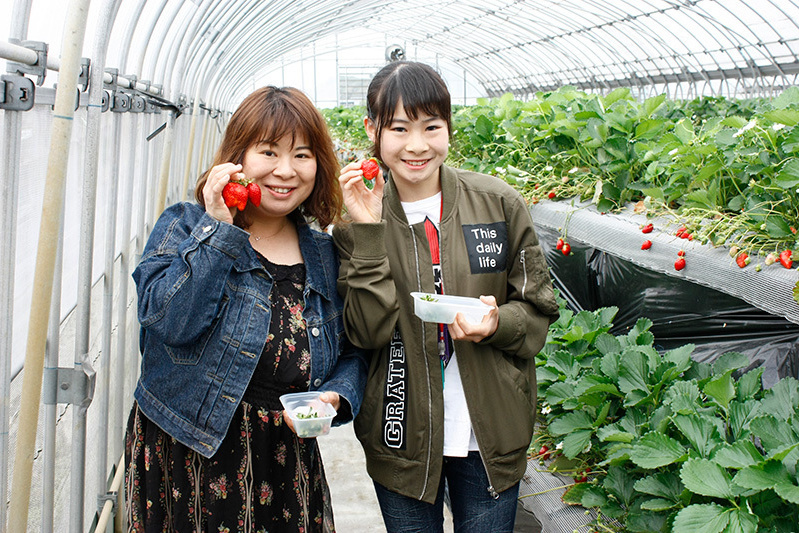 人気の黒苺は早めに無くなるよ