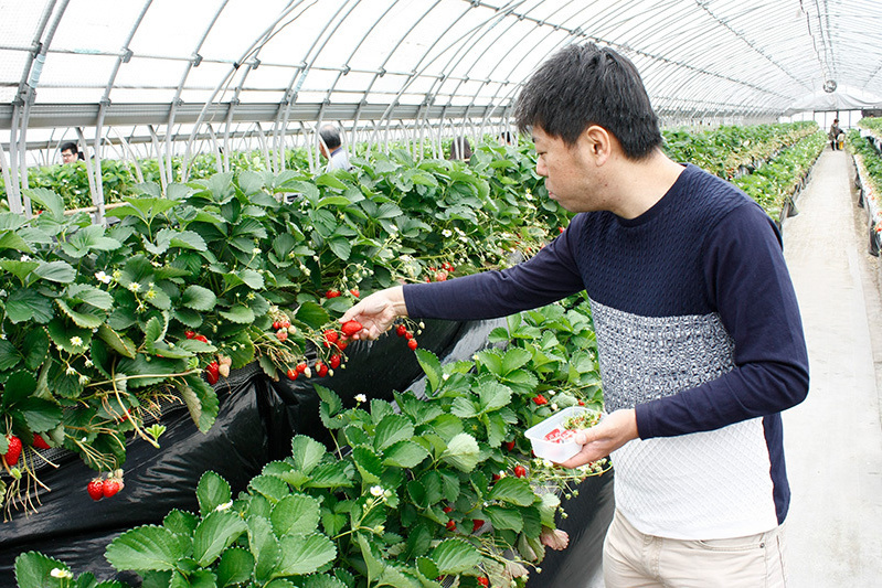 苺がお口いっぱいだね