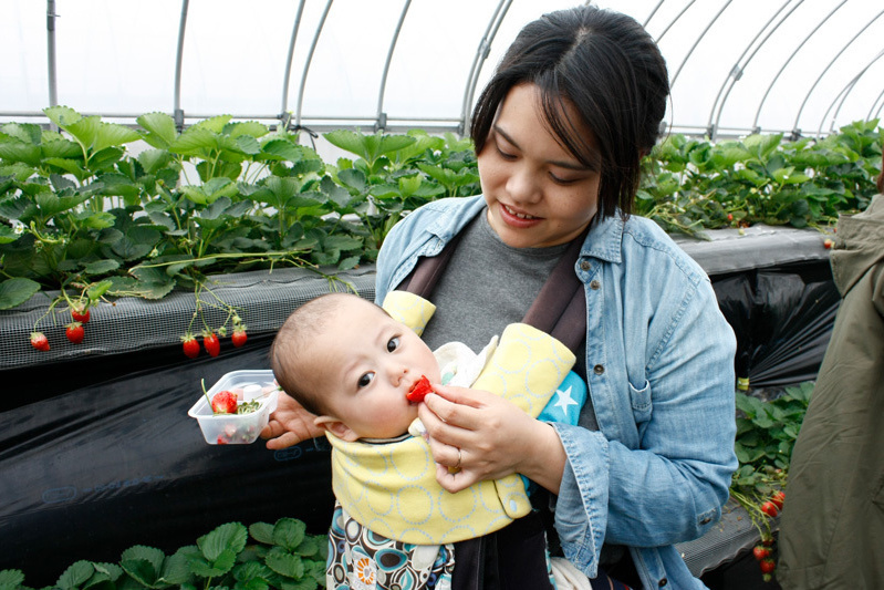 全部の品種を食べられましたか？