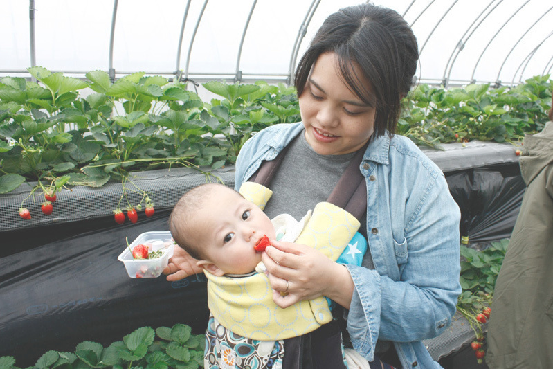 全部の品種を食べられましたか？