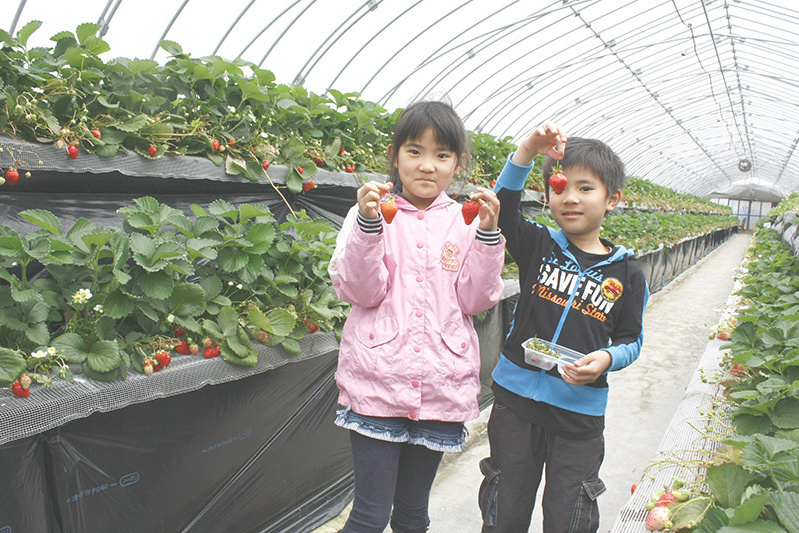 全部の品種を食べられましたか？