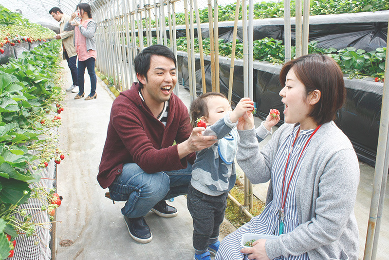 全部の品種を食べられましたか？