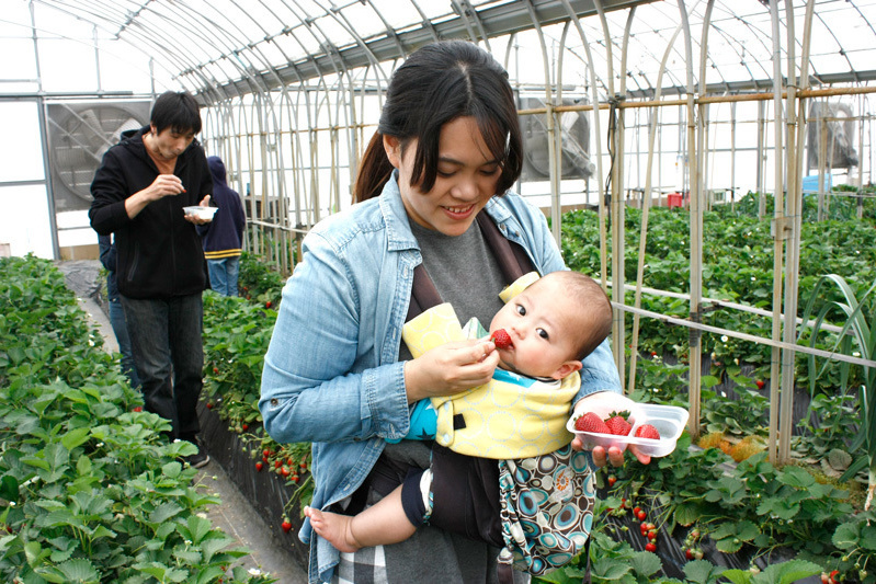 全部の品種を食べられましたか？