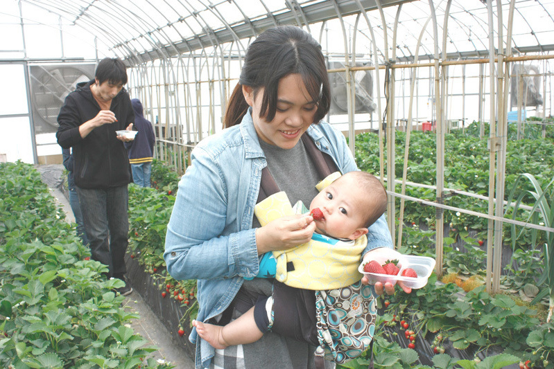 全部の品種を食べられましたか？