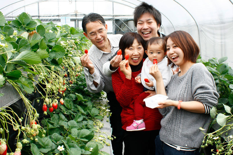 新種の恋みのり