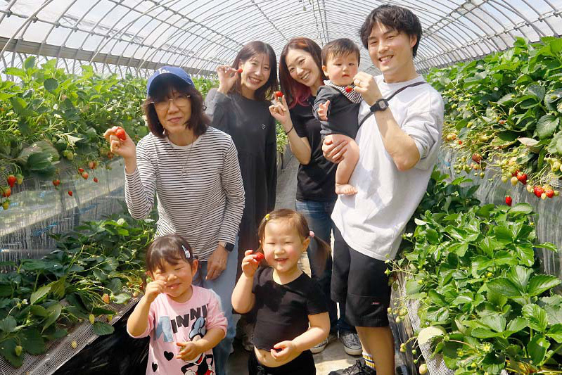 お父さんも苺狩りにノリノリ！