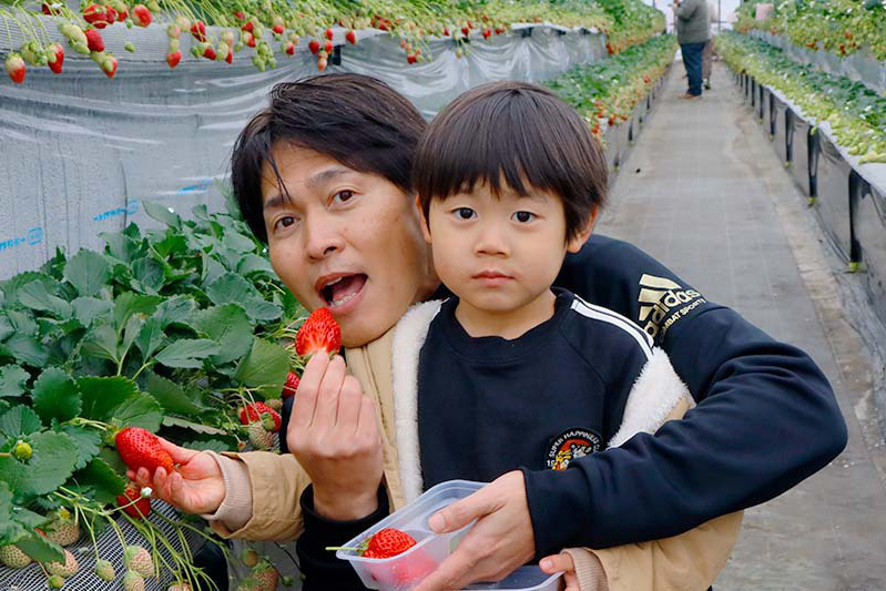 お父さんも苺狩りにノリノリ！