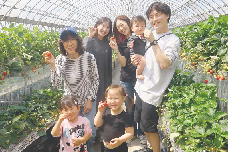 お父さんも苺狩りにノリノリ！