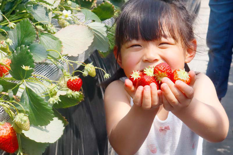 道路にはこれから積もりそう