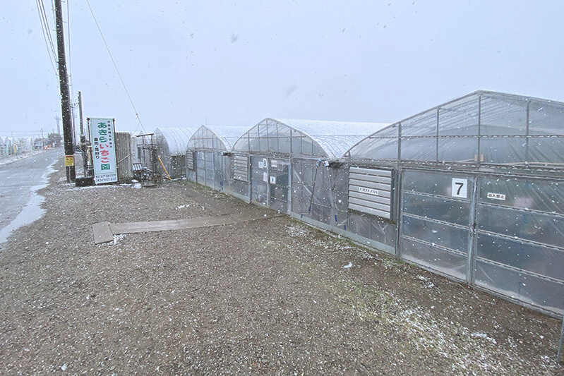 道路にはこれから積もりそう