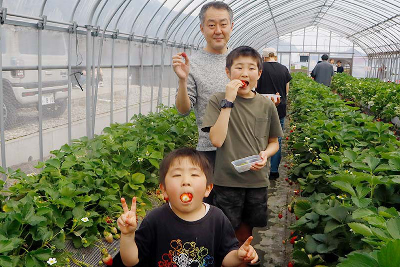 美味しい苺に囲まれて楽しいね