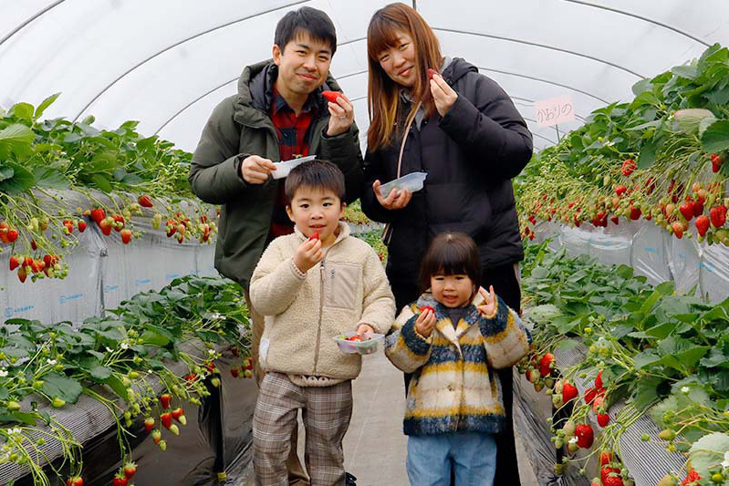 美味しい苺に囲まれて楽しいね