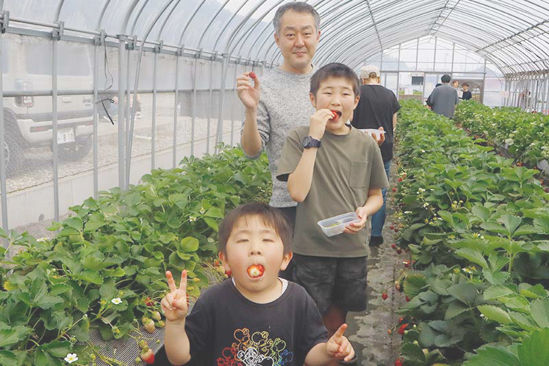 美味しい苺に囲まれて楽しいね