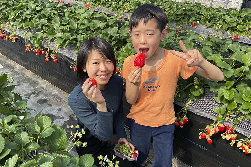 持ち込みでチョコ苺美味しそう
