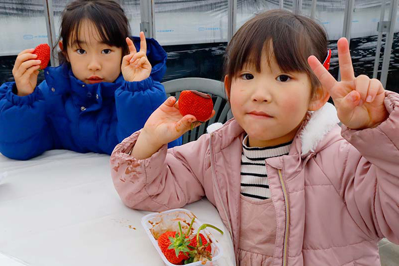 持ち込みでチョコ苺美味しそう