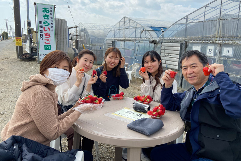 あきらいちご園苺狩り4月