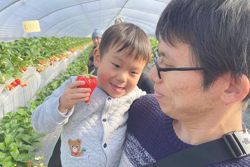 あきらいちご園苺狩り4月