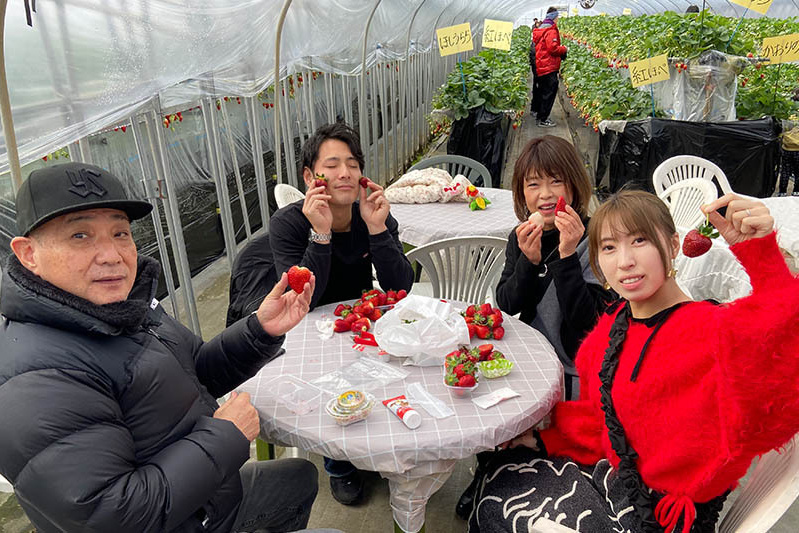 あきらいちご園苺狩り4月