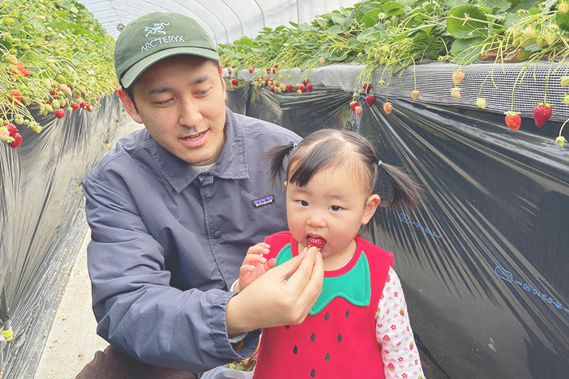 あきらいちご園苺狩り4月