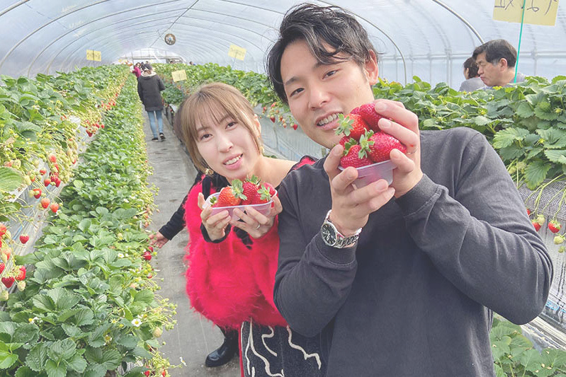 あきらいちご園苺狩り4月