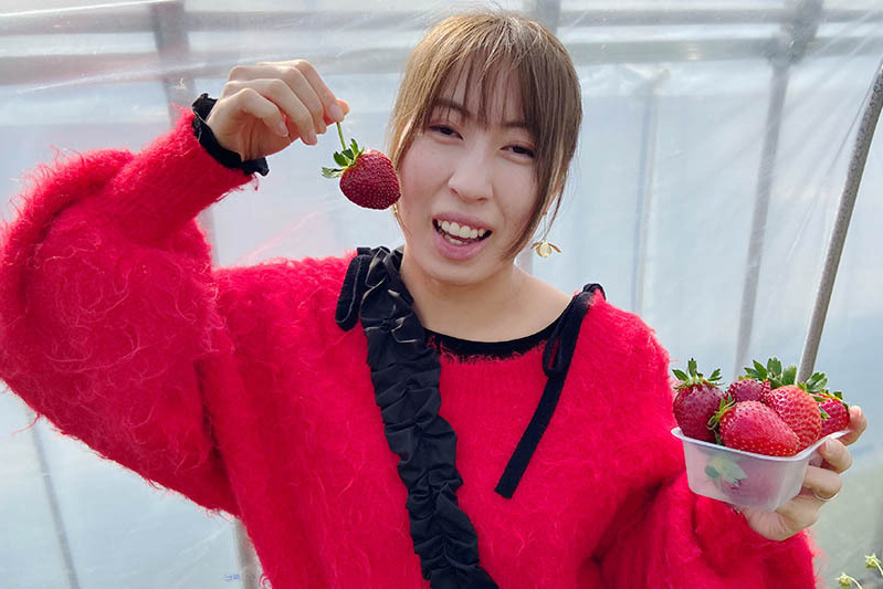 あきらいちご園苺狩り4月