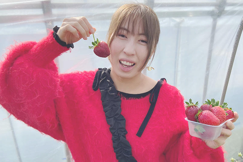 あきらいちご園苺狩り4月