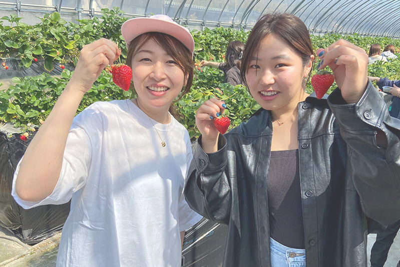 あきらいちご園苺狩り4月