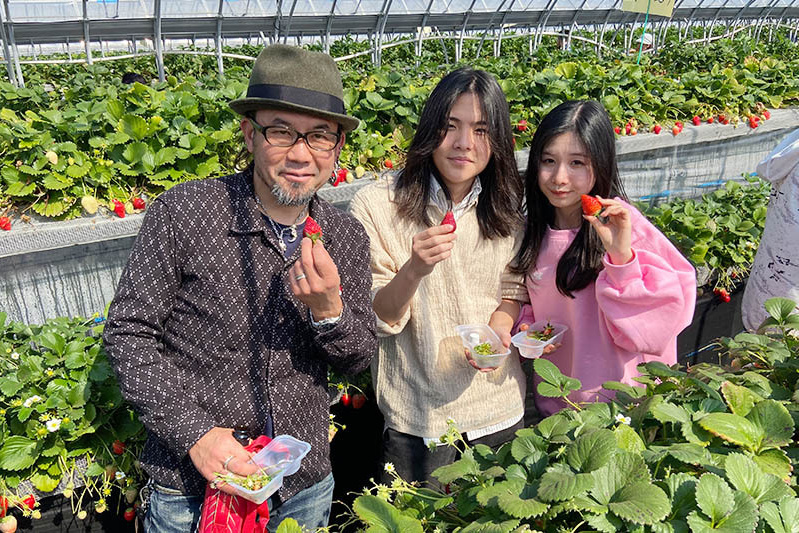 あきらいちご園苺狩り4月