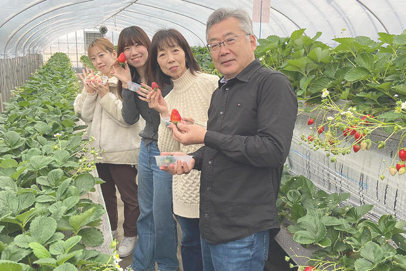 あきらいちご園苺狩り4月